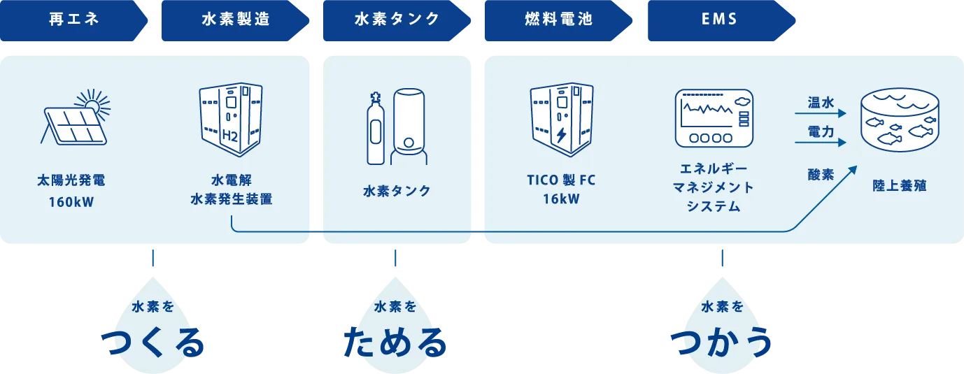 水素を作る（再エネ、水素製造、太陽光発電160kW、水電解水素発生装置）、水素をためる（水素タンク）、水素を使う（燃料電池、EMS、TICO製FC16kW、エネルギーマネージメントシステム、温水、電力、酸素、陸上養殖）